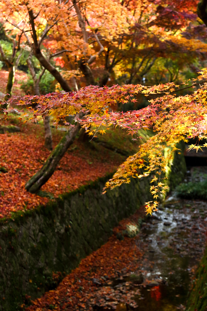 東福寺