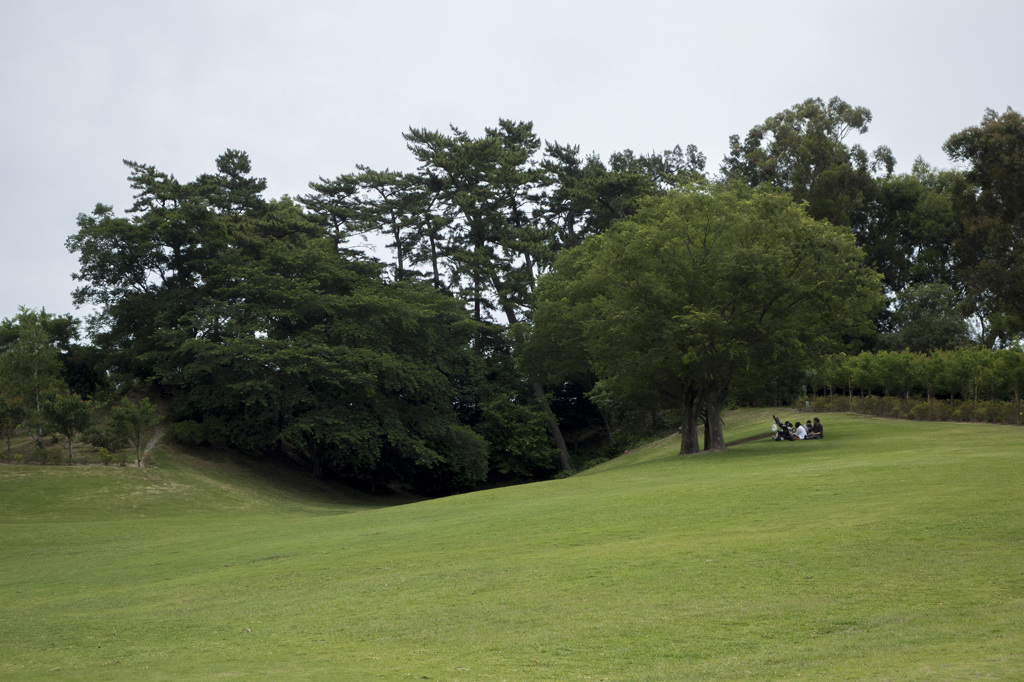 RX100　実戦投入