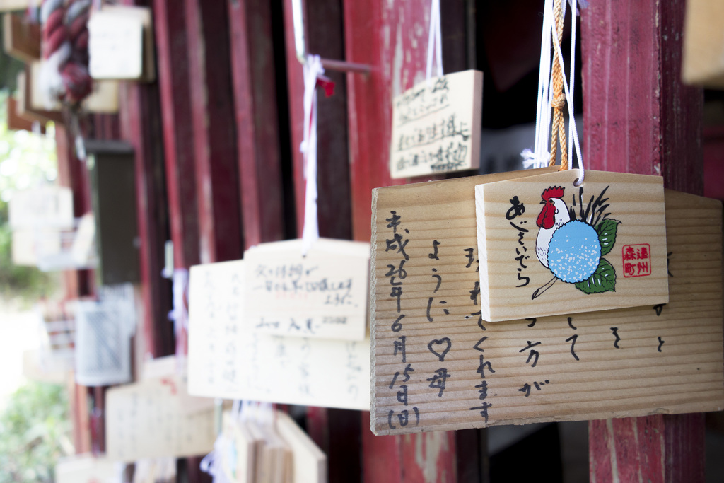 遠州森　極楽寺