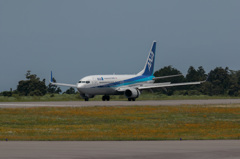 ANA