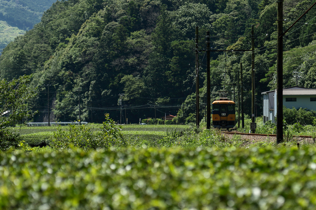 大井川鉄道