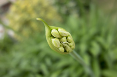 RX100　実戦投入