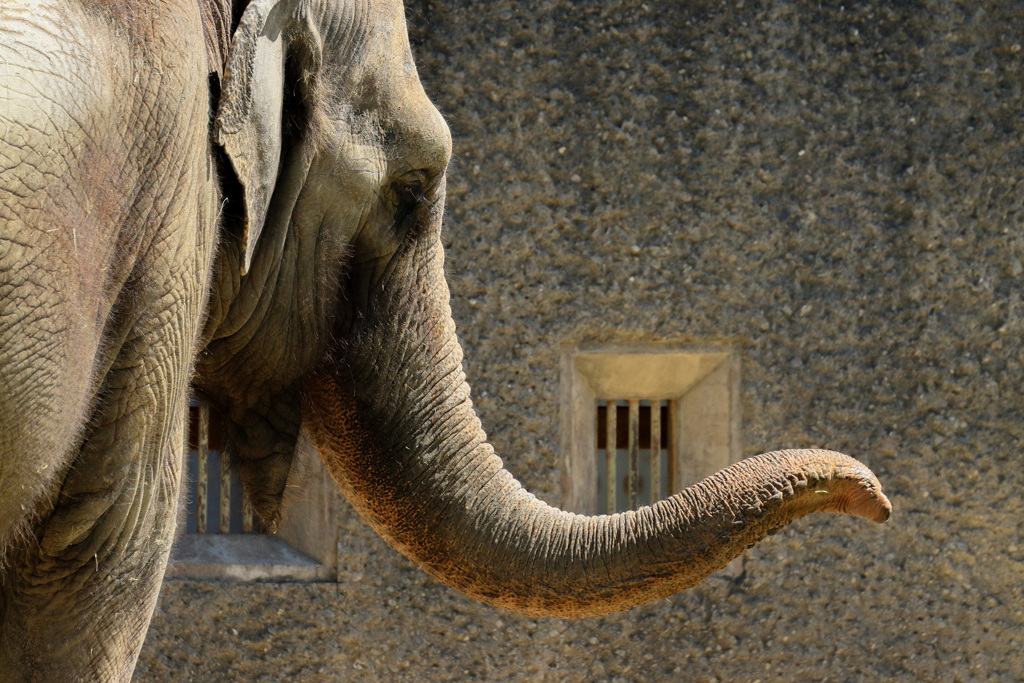 浜松市動物園