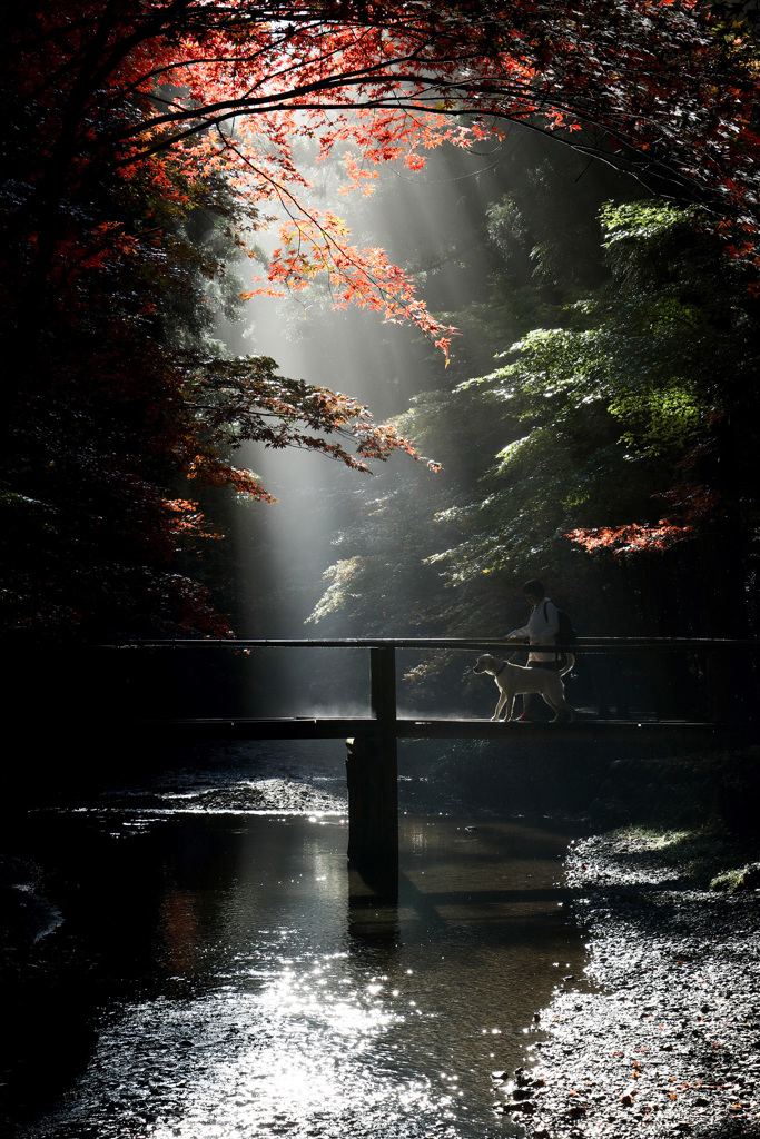小國神社