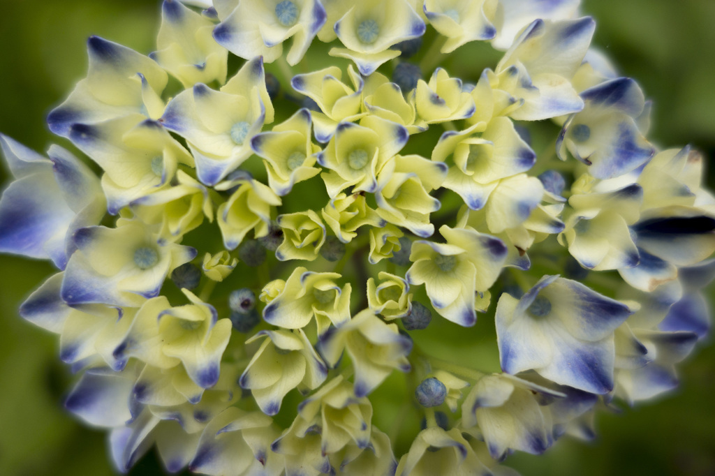 RX100　実戦投入