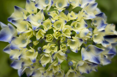 RX100　実戦投入