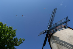 レンズのテスト