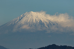 レンズテスト　EF100-400mm F4.5-5.6L IS II USM