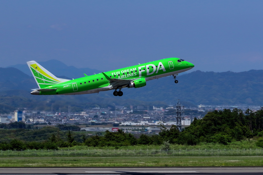 空飛ぶバッタ