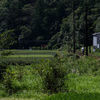 大井川鉄道