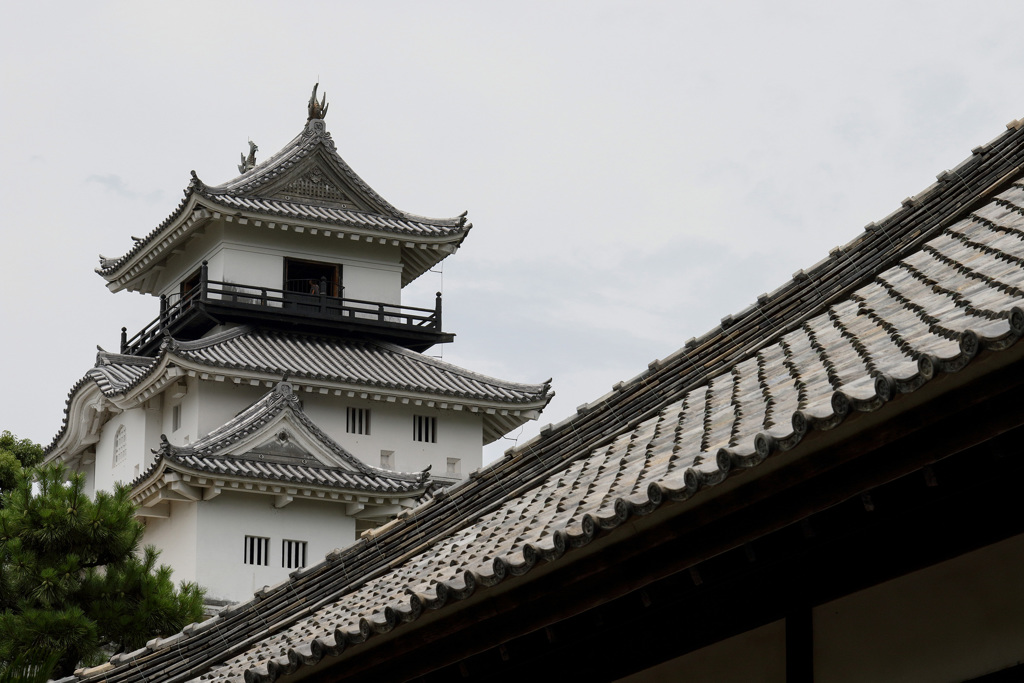掛川城