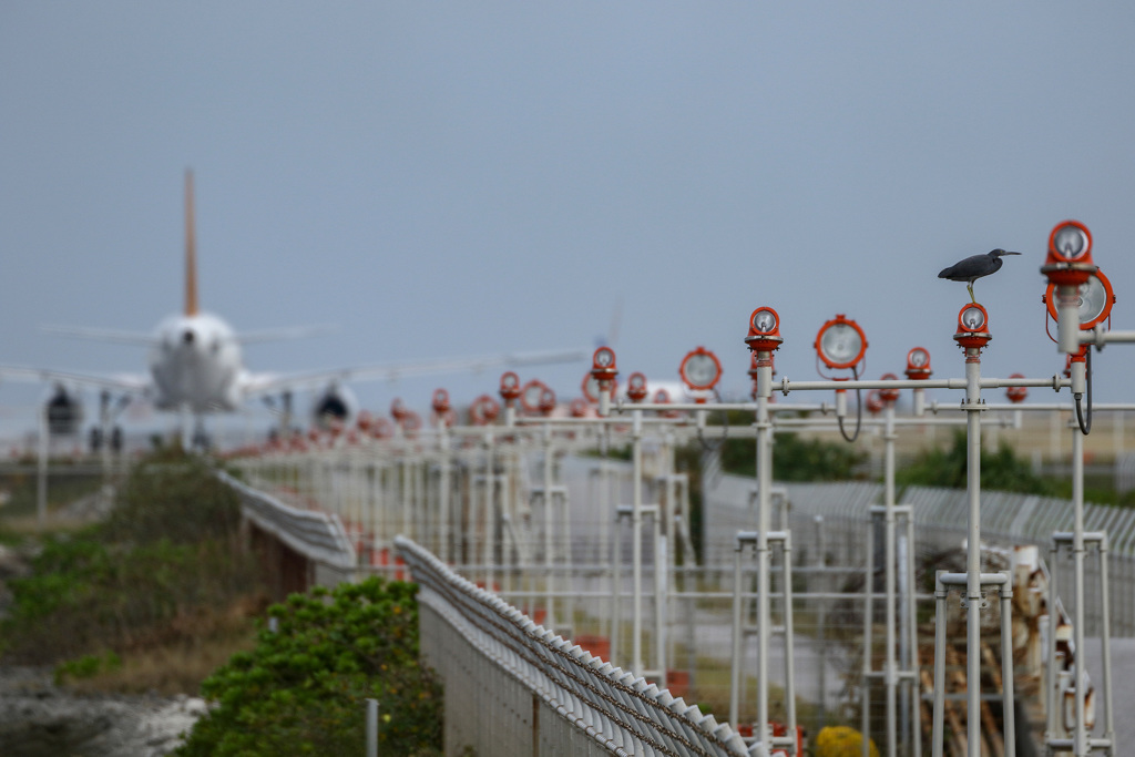 那覇空港