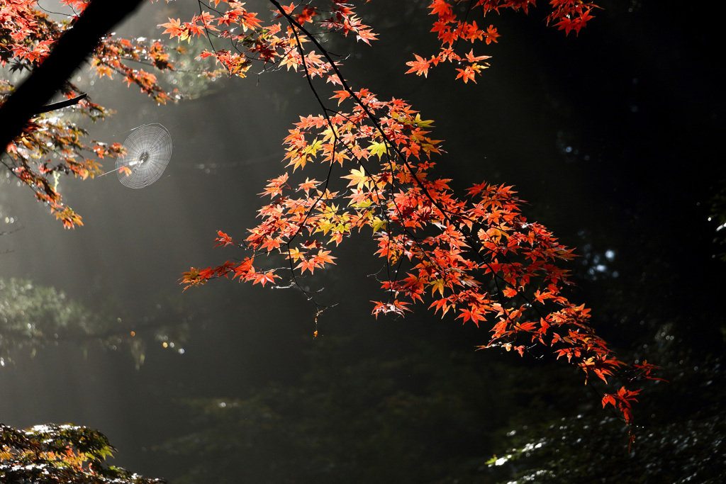 小國神社