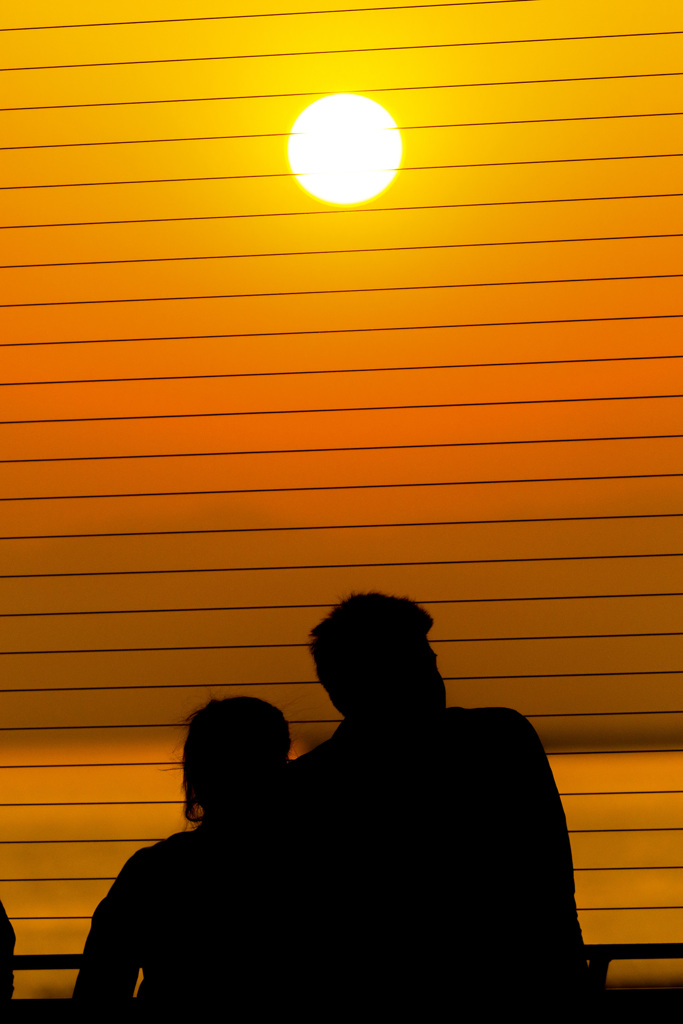 愛だろっ、愛。