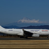 春節便 A330