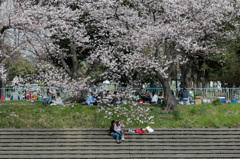 馬込川
