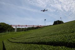 静岡空港