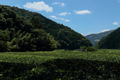 大井川鉄道