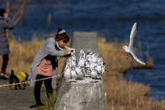 いいね！が欲しい
