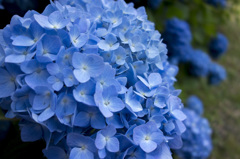 RX100　実戦投入