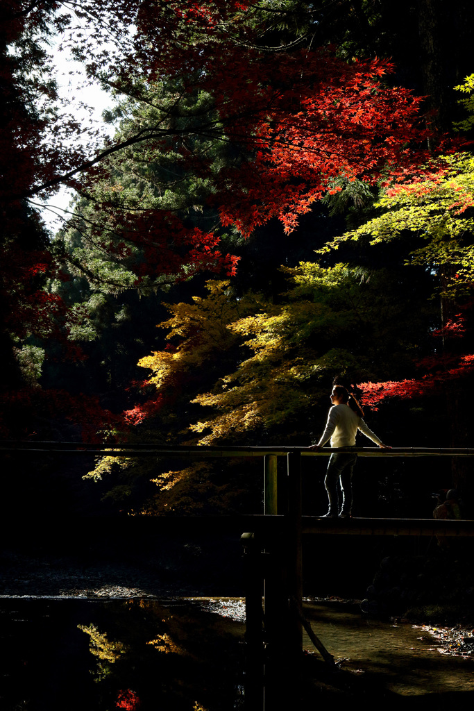 小國神社