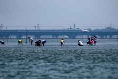 夏、浜名湖