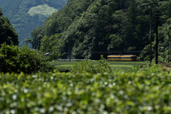 大井川鉄道