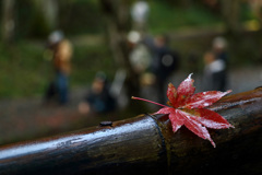 小國神社