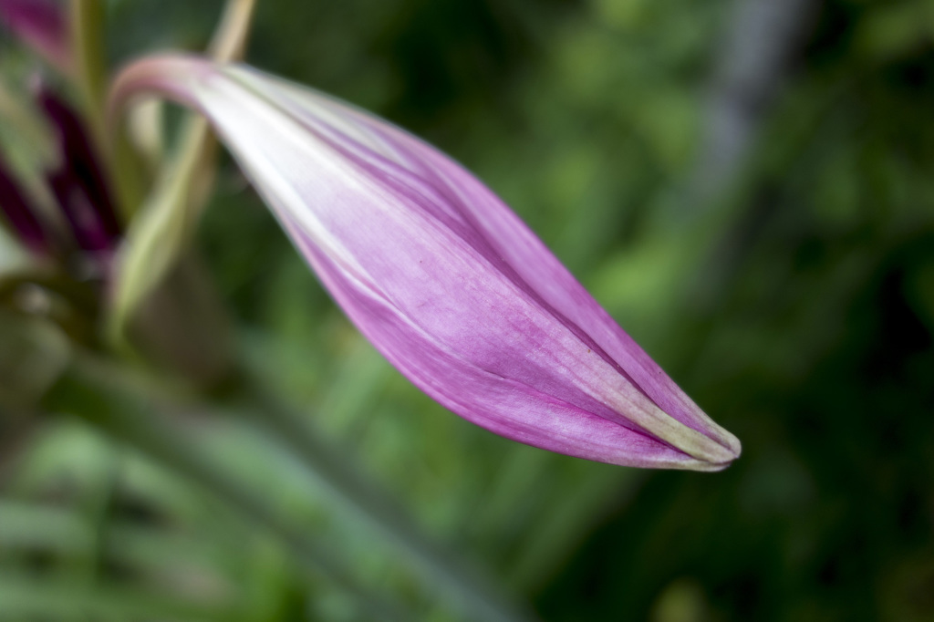 RX100　実戦投入