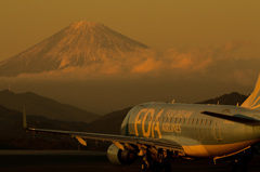 THE 富士山静岡空港