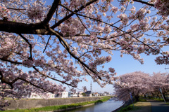 レンズ ノ シュギョウ