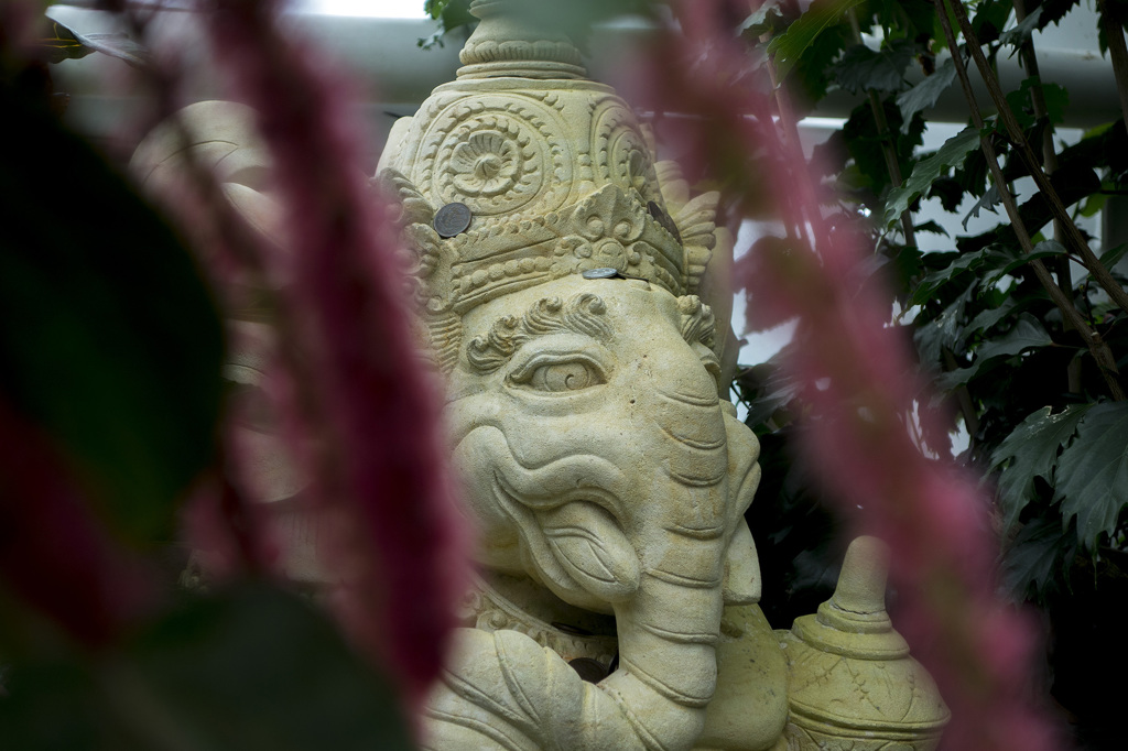 RX100　実戦投入