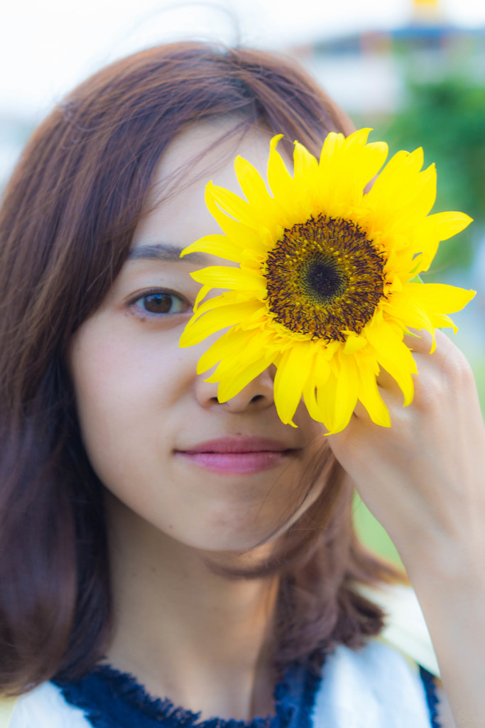 太陽の花