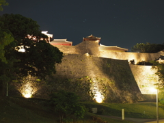 夜でも光る城