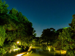 夜の庭園　vol.2