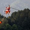 AS 365