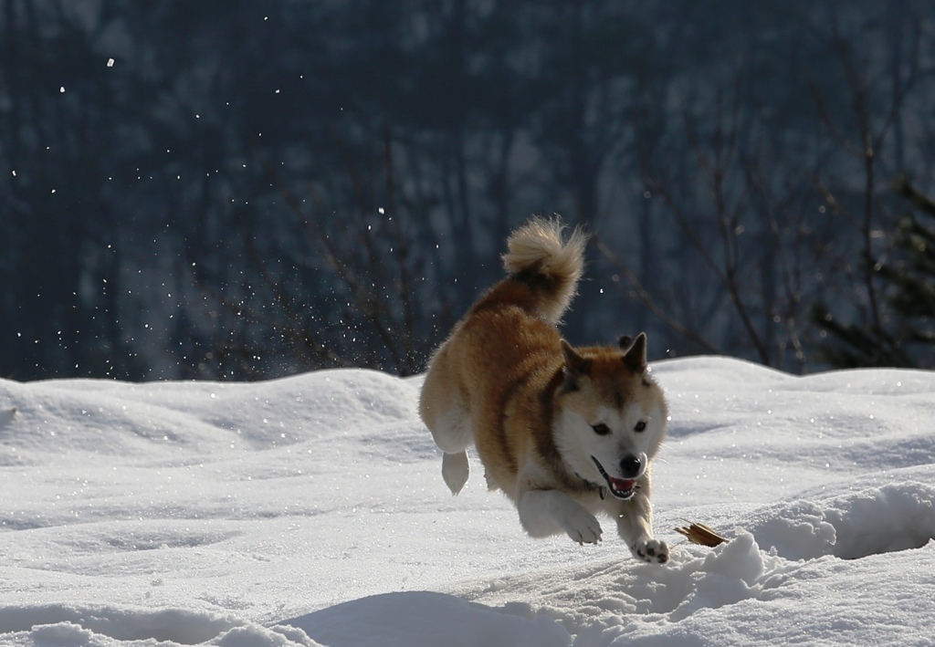 ひやっほーーーい!!!