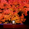 安国寺