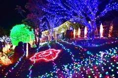 冬のイルミネーション　夜景