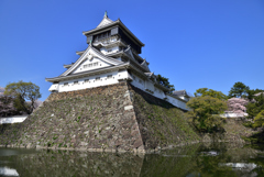 桜と青い空と小倉城　広角編 5