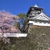 桜と青い空と小倉城　広角編