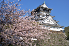 桜と青い空と小倉城