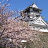 桜と青い空と小倉城