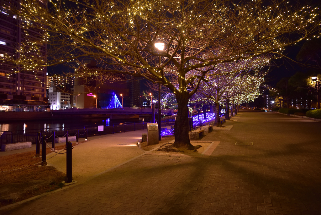 Silent night, Holy night 2