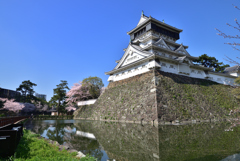 桜と青い空と小倉城　広角編 2