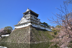 桜と青い空と小倉城　広角編 4