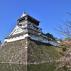 桜と青い空と小倉城　広角編 4