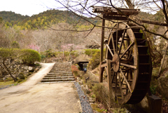 魚楽園