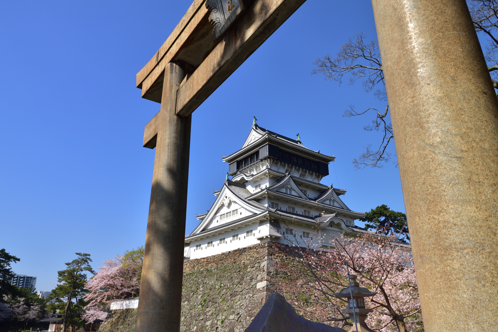 桜と青い空と小倉城　広角編 3