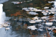 雨上がり2